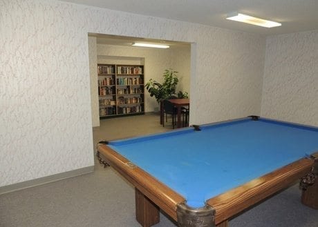 Greenvale Village Apartments - recreation area with pool table